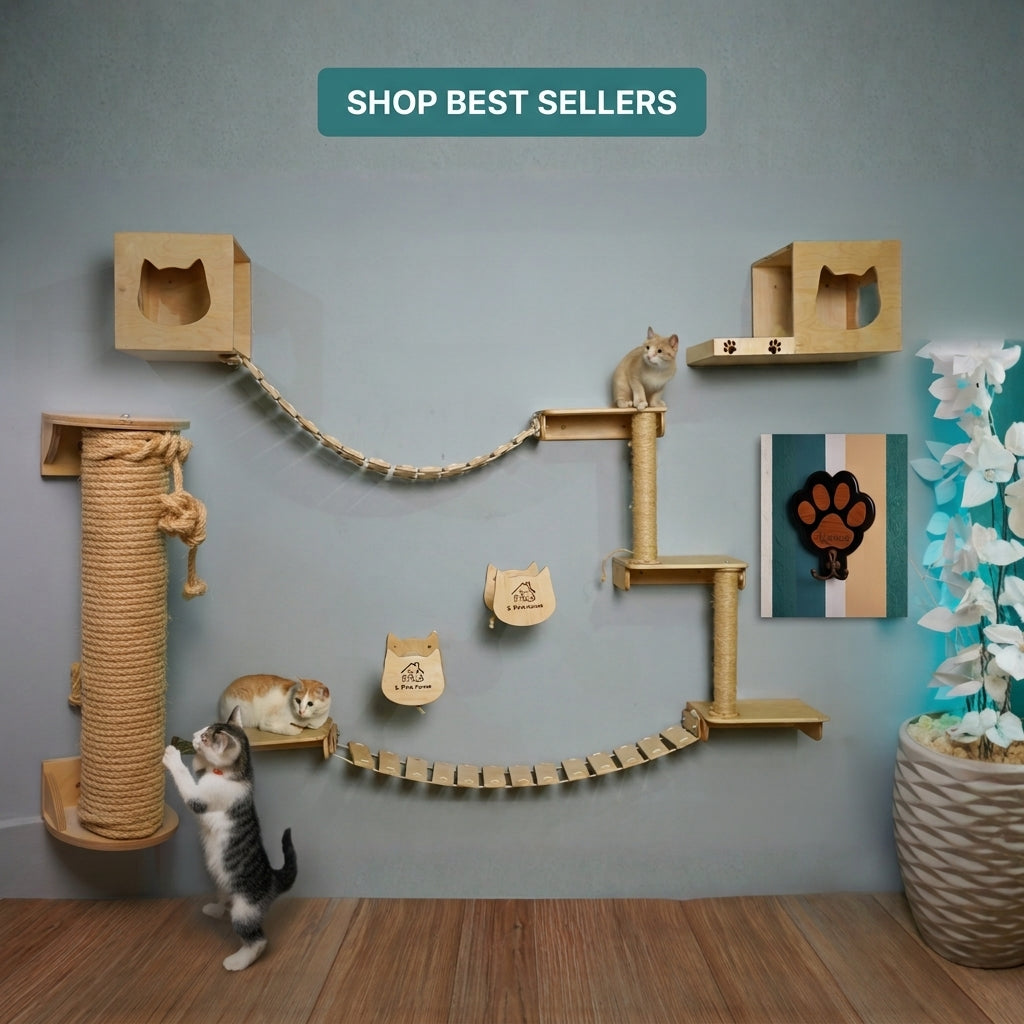 Best Seller