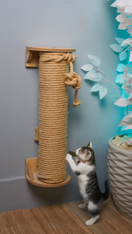 Cat scratcher wall mount