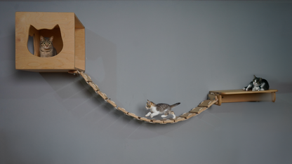 CAT climbing wall , CAT wall shelves, Cat Playground including stairs