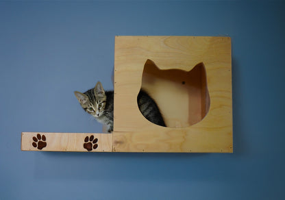 CAT climbing wall , CAT wall shelves, Cat Playground including stairs