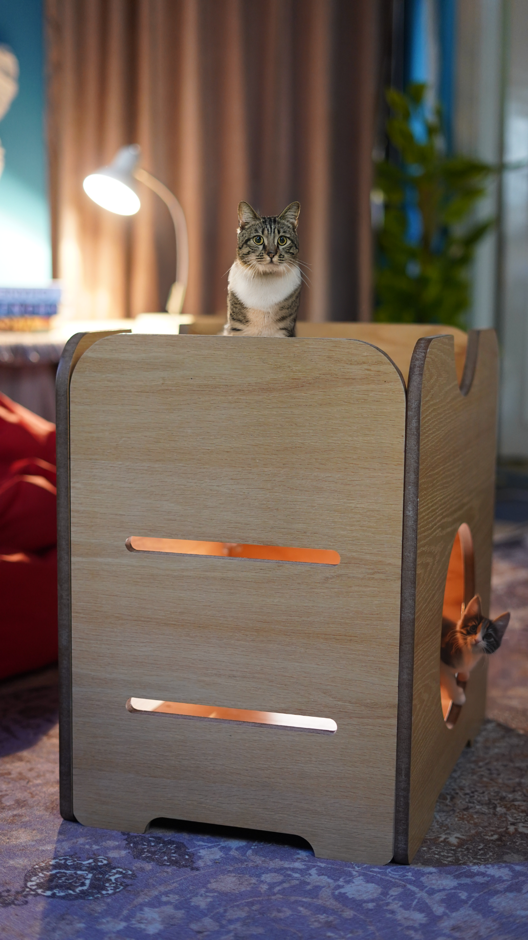 Two-levels wood CAT Bed, Suitable for lovely cats love to hide