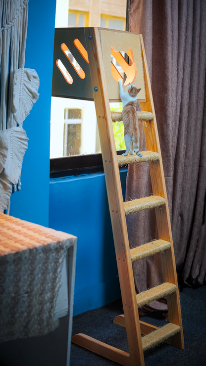 Wooden Window Box with Sizzle-Rope Stairs, Purrfect View Window Box, Sizzle Stairs Window Retreat