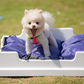 Small BED for CATS and Small-Breed DOGS