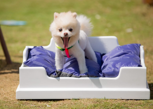 Small BED for CATS and Small-Breed DOGS