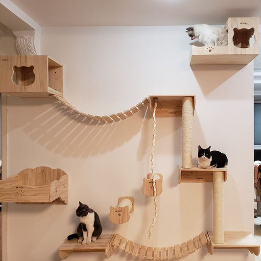 CAT climbing wall , CAT wall shelves, Cat Playground including stairs