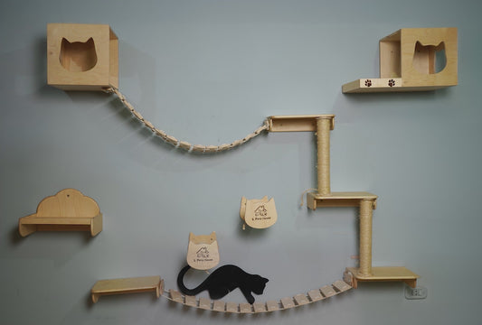 CAT climbing wall , CAT wall shelves, Cat Playground including stairs