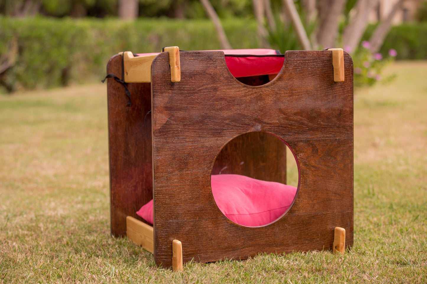 CAT Bed with a Hommock on TOP, Two-Levels Bed,