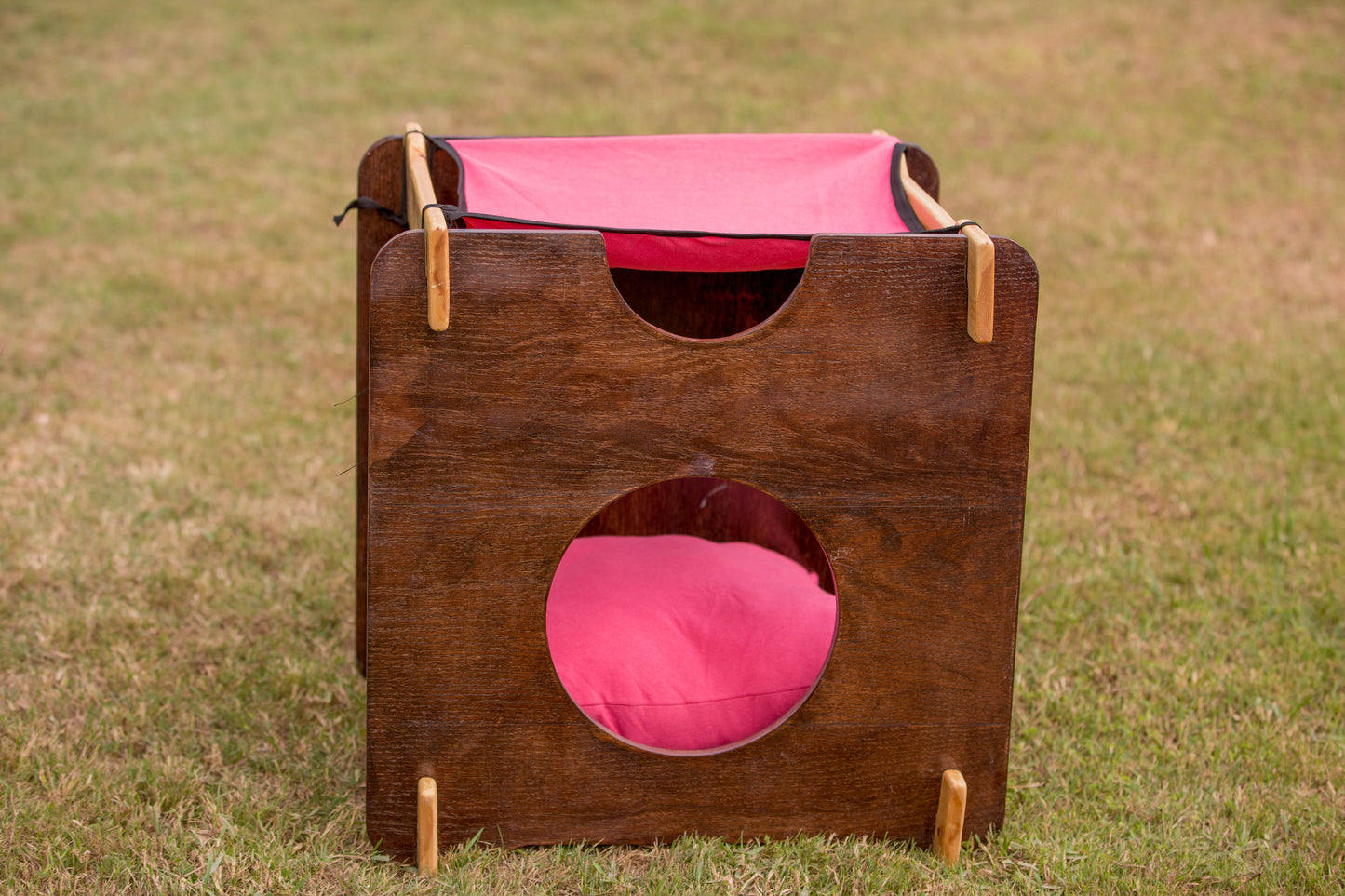 CAT Bed with a Hommock on TOP, Two-Levels Bed,