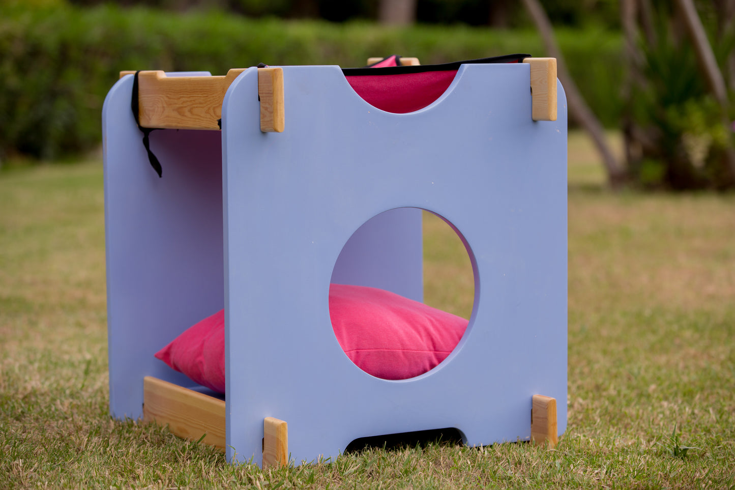 CAT Bed with a Hommock on TOP, Two-Levels Bed,