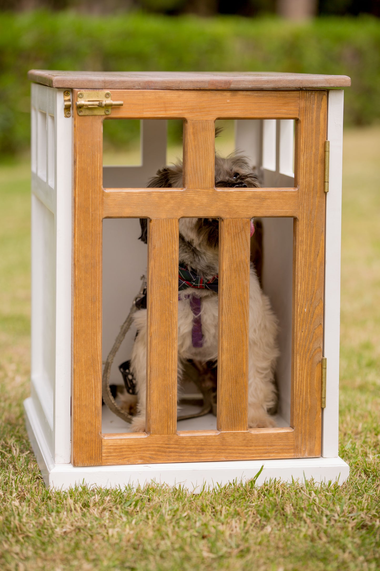 Dog Commode House, Easy-To-Open Door and Effortless Closure